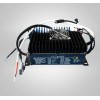UTV ELEKTRILINE BERNARDS 4X2 - HAPPEAKUD 100 AH