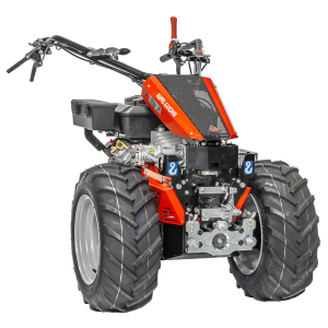 Köppl Luchs Köppl Luchs